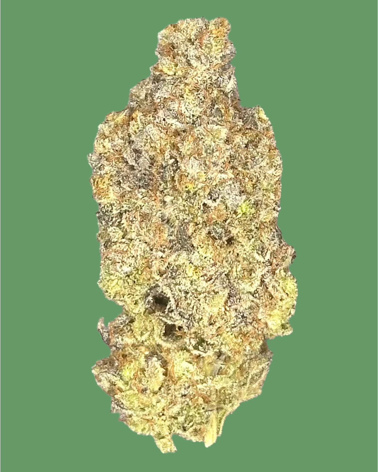 Miracle Alien Cookies